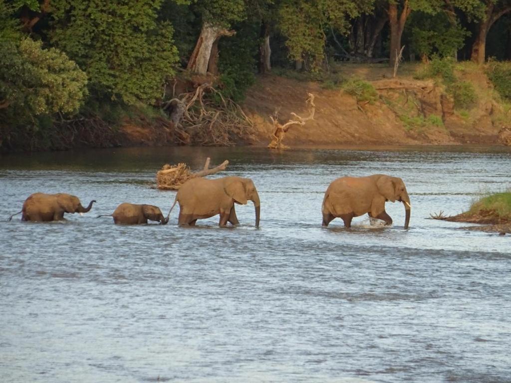 Limpokwena Nature Reserve Tokio Zewnętrze zdjęcie