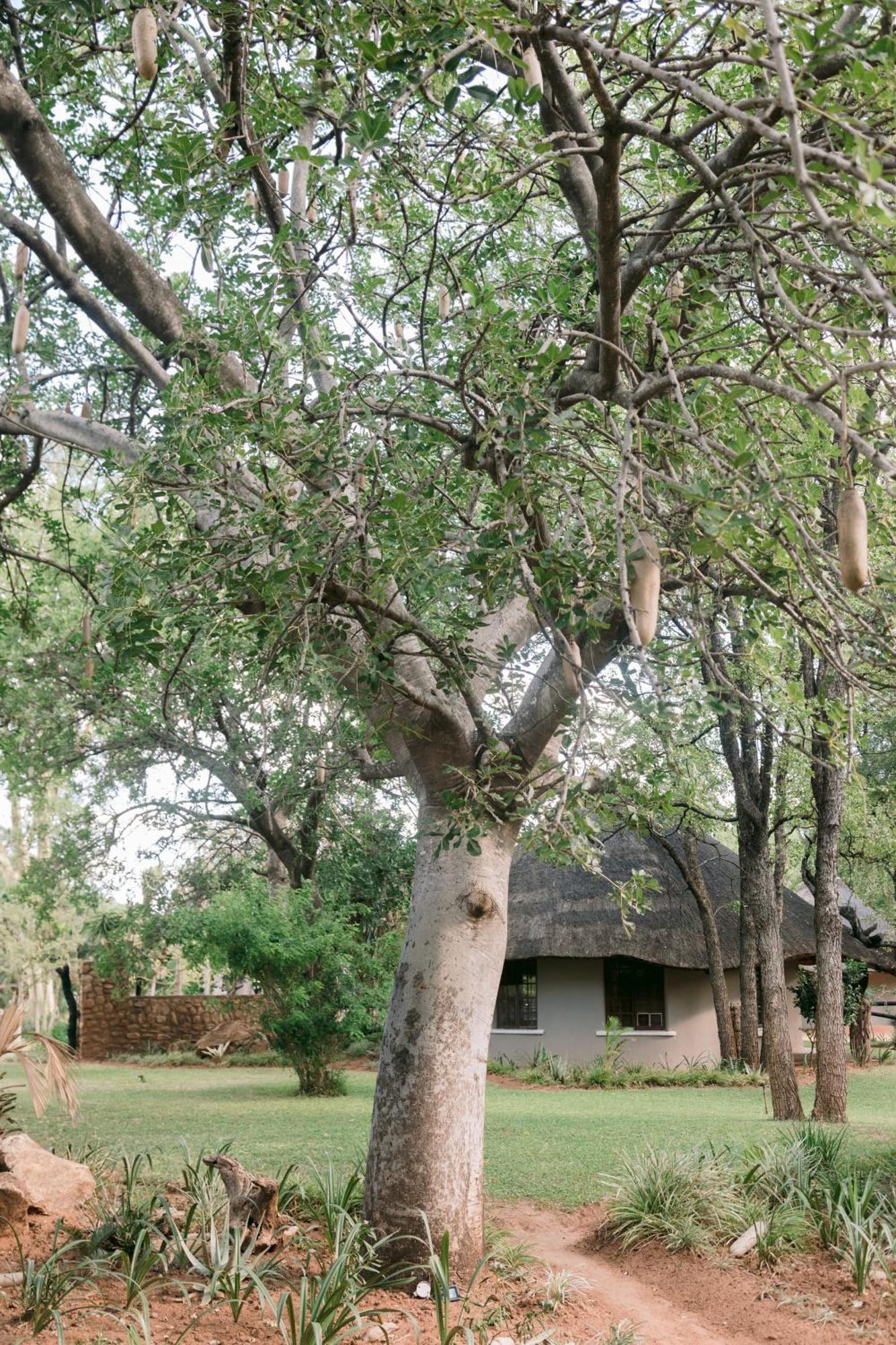 Limpokwena Nature Reserve Tokio Zewnętrze zdjęcie