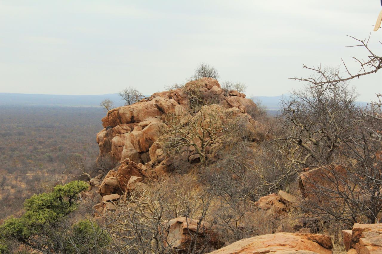 Limpokwena Nature Reserve Tokio Zewnętrze zdjęcie